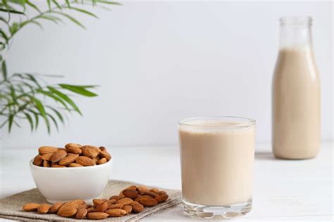 6 Pros and Cons of Plant-Based Protein That You Should Know