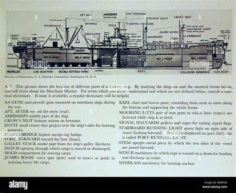 Diagram of WWII Liberty ship, halftone image (27921060992 Stock Photo ...