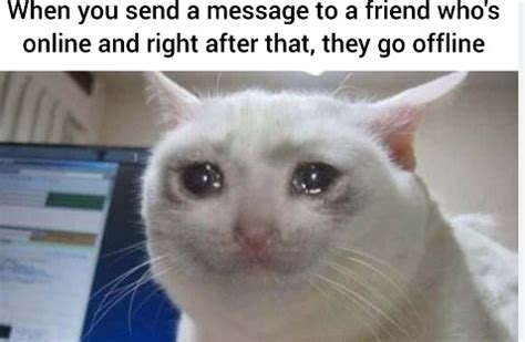 Image result for Meme Help Everyone