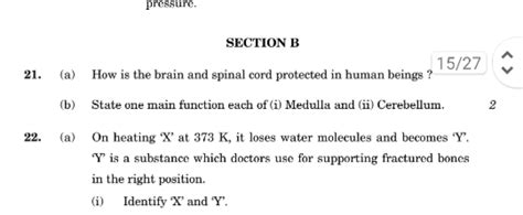 pressure. SECTION B (a) How is the brain and spinal cord protected in hu..
