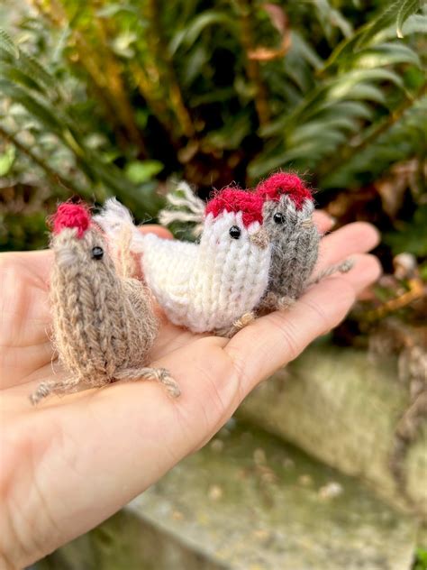 Image result for Knitted Chicken Pattern