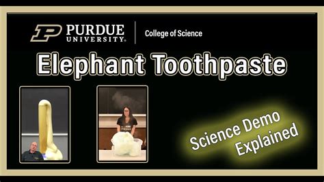 Elephant Toothpaste Reaction Explained 的图像结果