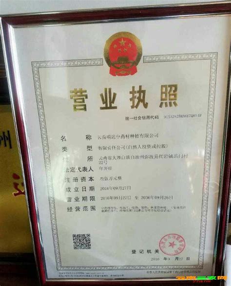 营业执照正本-资质证书-云南地矿环境检测中心