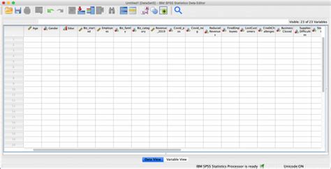 Image result for Coding of Variables in Variable View in SPSS