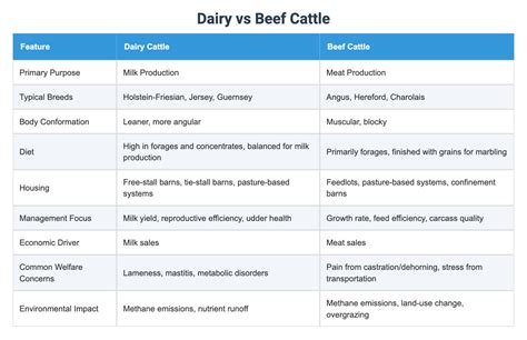 Dairy vs Beef Cattle