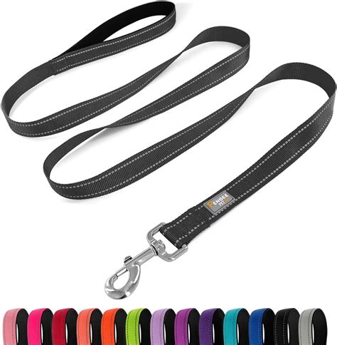 Amazon.com : PenSeepet Dog Leash 6 FT Padded Handle Nylon Reflective ...