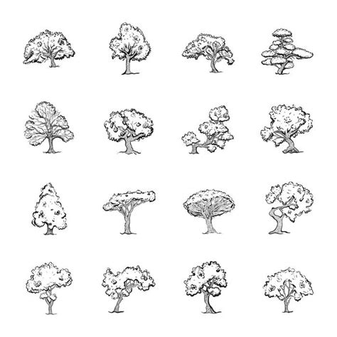 TreePlan 的图像结果