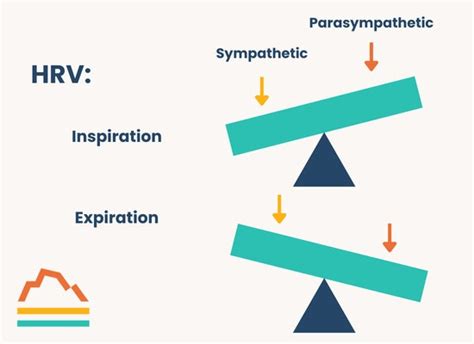 Image result for Normal Heart Rate Variability Chart