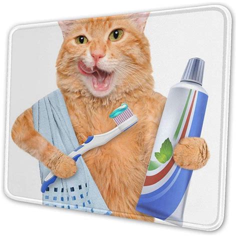 Small Raincoat Gaming Mouse Pad Funny Cat is Brushing Teeth Decorative ...