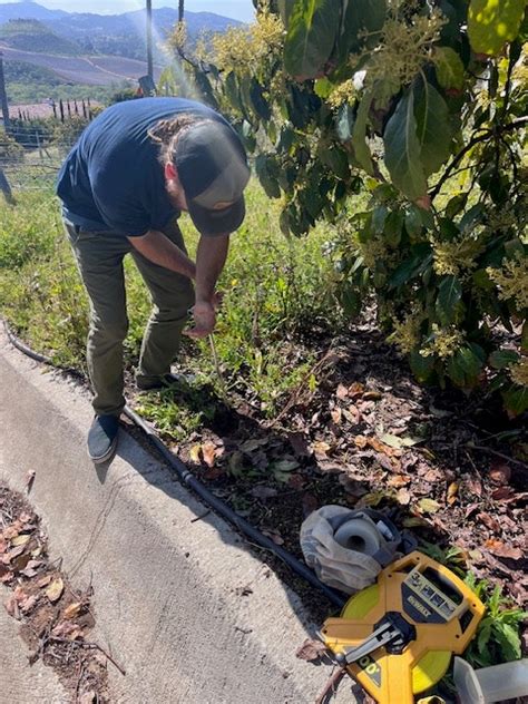 Weta Program 的图像结果