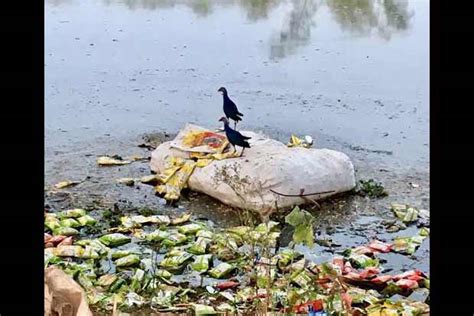 Discarded snack packs a threat to Kovai lake