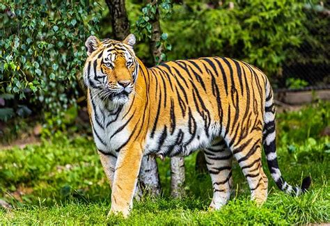 One Day Coimbatore to Hogenakkal Waterfalls Trip by Cab - Book Now @ Rs ...