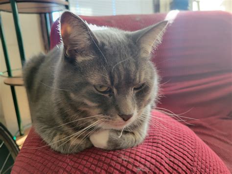 Slideshow: Samsung Galaxy S21 Image Samples