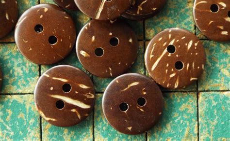Image result for Coconut Shell Buttons