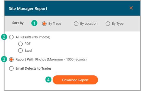 How to Report Defects 的图像结果