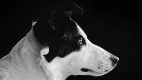 Sentence Stress — Lucid Accent Consulting