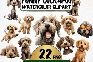 Image result for Cockapoo Memes