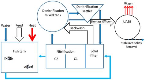 Nutrients and Energy Balance Analysis for a Conceptual Model of a Three ...