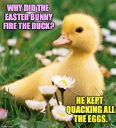 Image result for Happy Easter Funny Bunny Memes