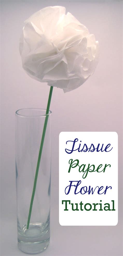 Image result for Tissue Flowers Tutorial