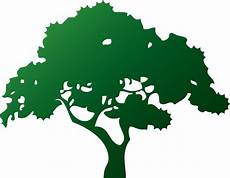 clipart alberi albero clipart clipground clipart alberi albero clipart clipground