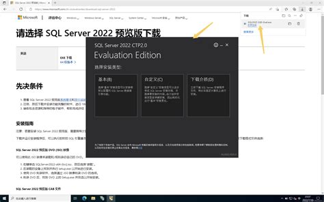 Asp.net 2022 SQL Server 的图像结果