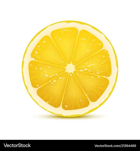 Image result for Lemon Slice Vector