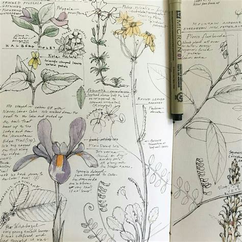 botanical art journal