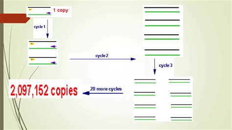 Image result for PCR Machine Tutorial