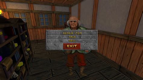 Image result for Daggerfall Gameplay