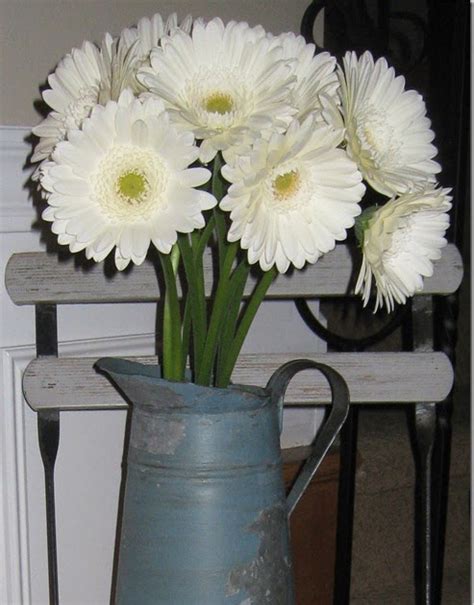 Simplicity API 的图像结果