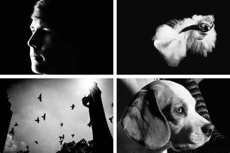 Image result for High Contrast Color Photography