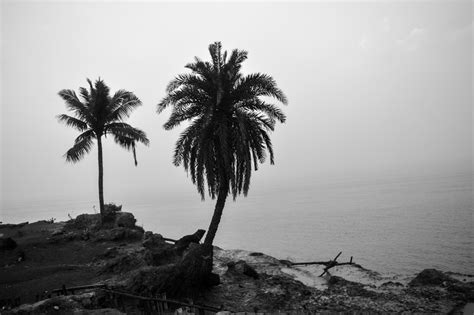 Living On The Edge In Ghoramara Island