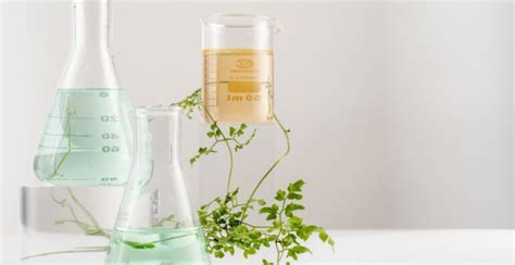 Hierarchy of Scientific Evidence: Understanding the Levels