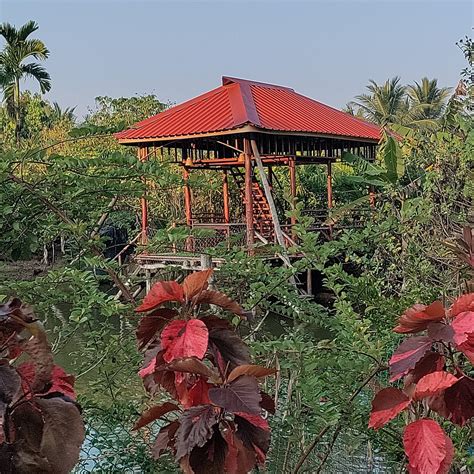 PARKRESORT - ORGANIC FARM RESORT (Swaraj Dweep) - Guesthouse Reviews ...