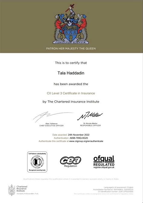 Image result for Programming Language Relations