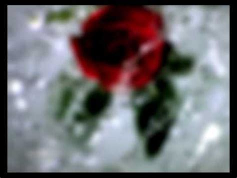 Image result for Modjo Lady Acoustic