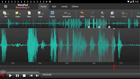 Image result for Wavepad Audio Editing Software