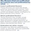 Do you think insect-pollinated flowers can also be pollinated by wind ...