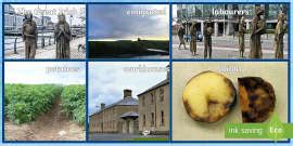 The Great Famine - KWL Grid (teacher made) - Twinkl