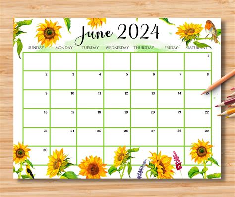 Sunflower June 2025 Calendar