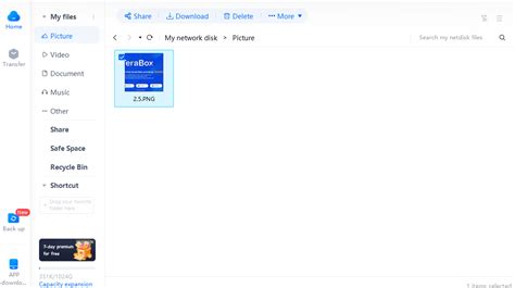 Image result for Secure File Transfer Service