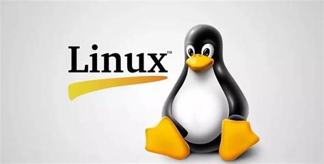 Option Linux 的图像结果