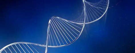 DNA Structure and Function | Biology I Laboratory Manual