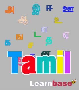 LearnBase | Online Educational Portal