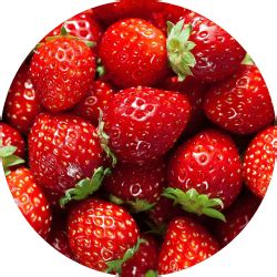 Nourishing Bath Blend Set – Vanaura Organics