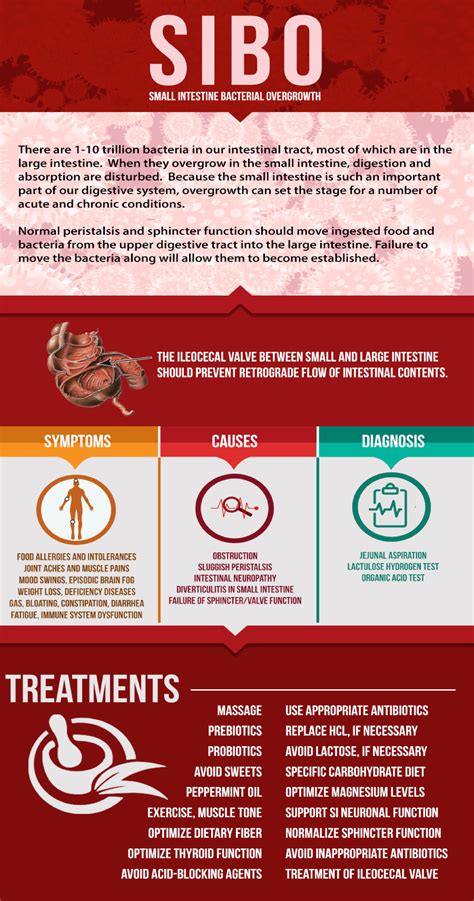 SIBO Breath Test - DrJockers.com