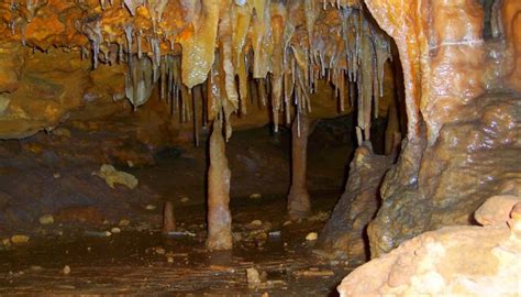 Limestone Cave Baratang Island – Visit & Timings Info