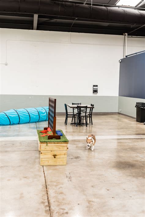 Two Shepherds Taproom - Tampa's Largest Dog Park and Bar - Travel Pockets