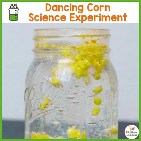 The Corn Experiment That Kids Will LOVE! Dancing Popcorn - Fun with Mama